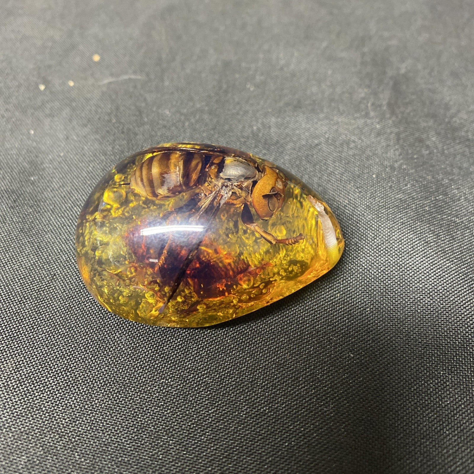 Beautiful Vintage Preserved Hornet In Amber Necklace Pendant - (1673)