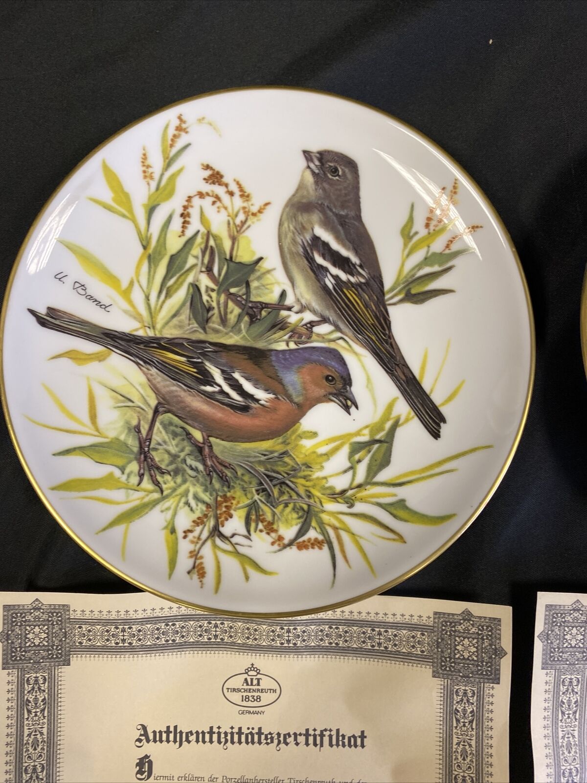 WWF Tirschenreuth Bands Songbirds Europe Plates x2 Bullfinch & Great Tit (7829