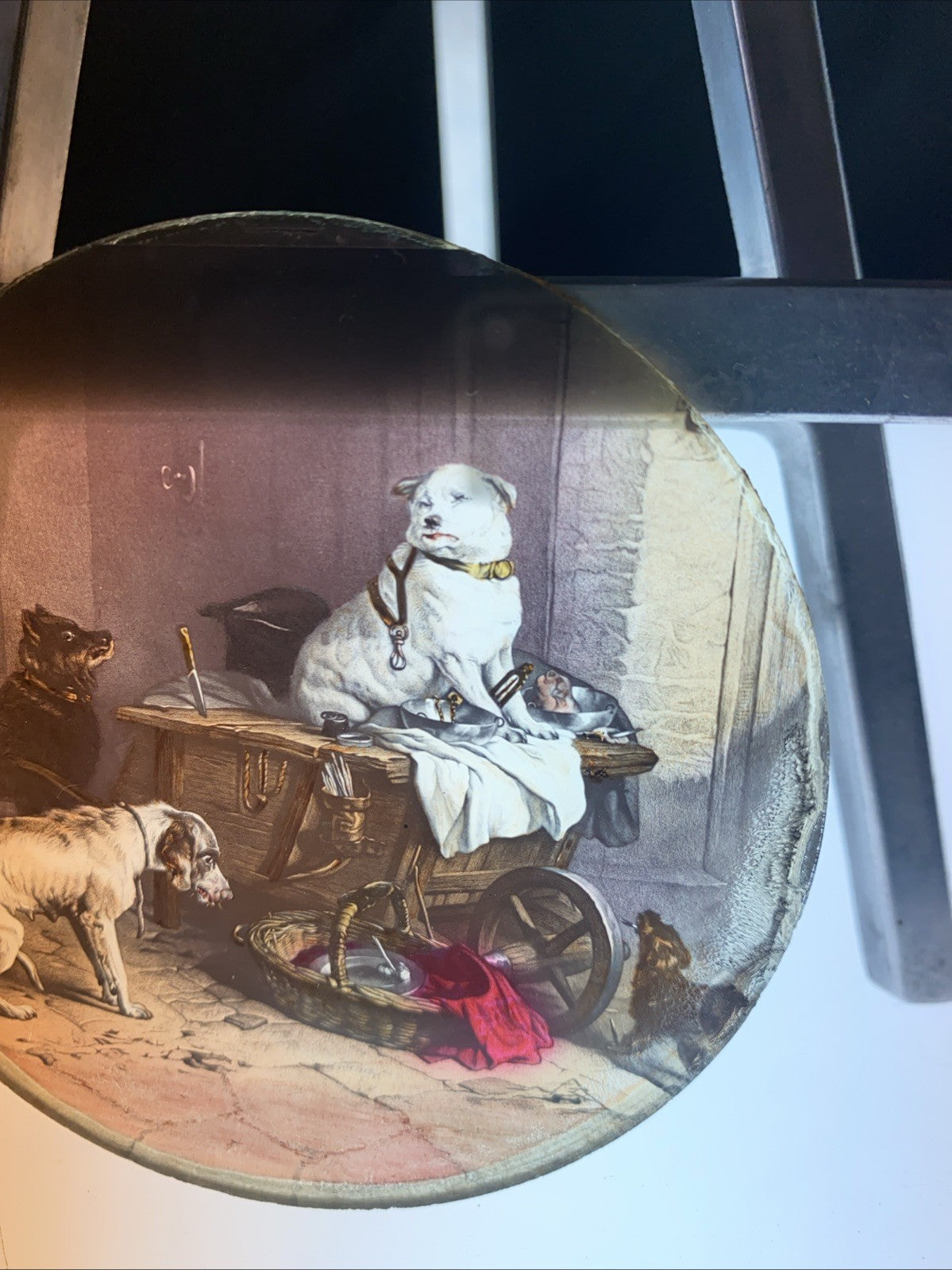 Magic Lantern Victorian Glass Round Handpainted Slide Meeting of Dogs (1143)