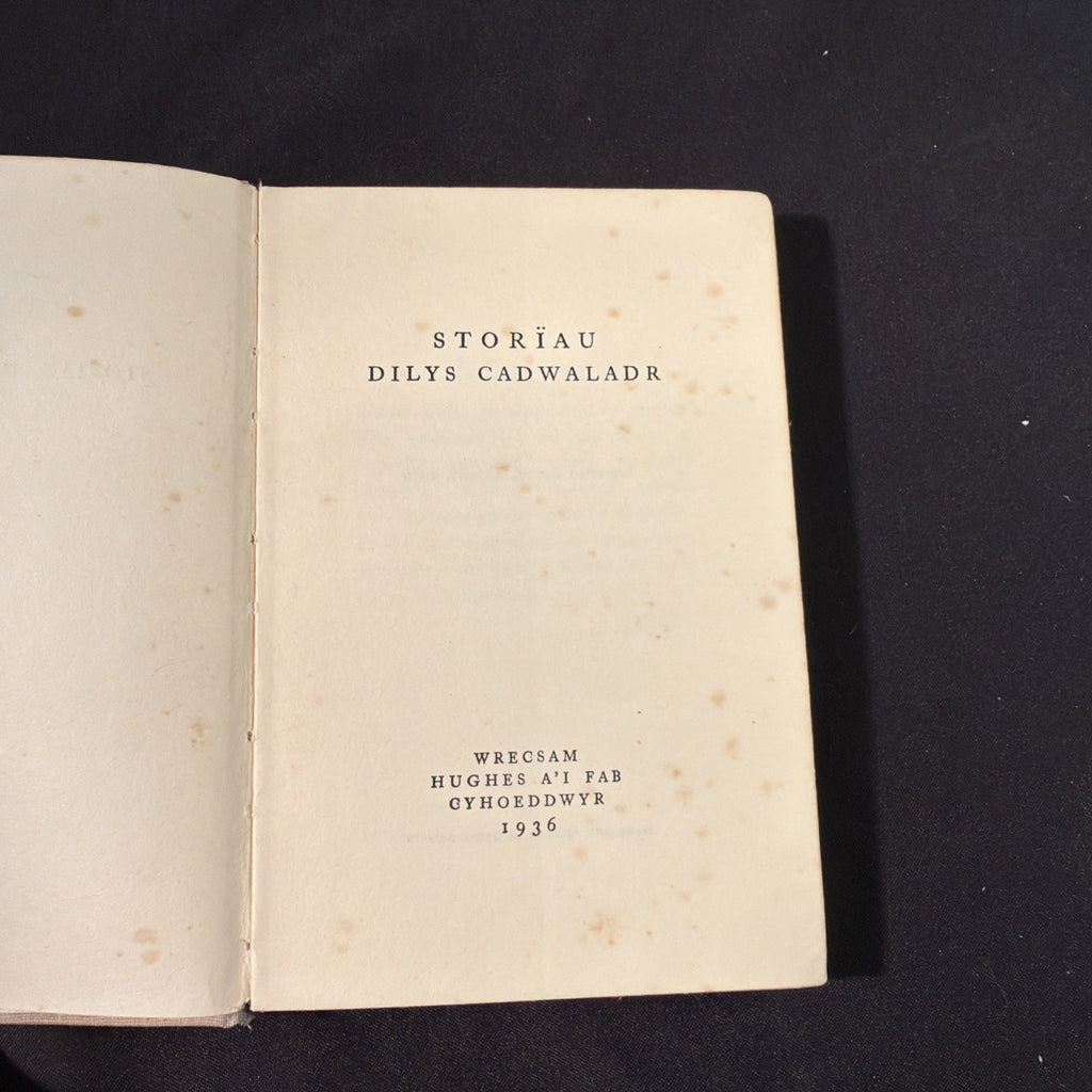 Storiau Dilys Cadwaladr - Welsh Language book - (1882)
