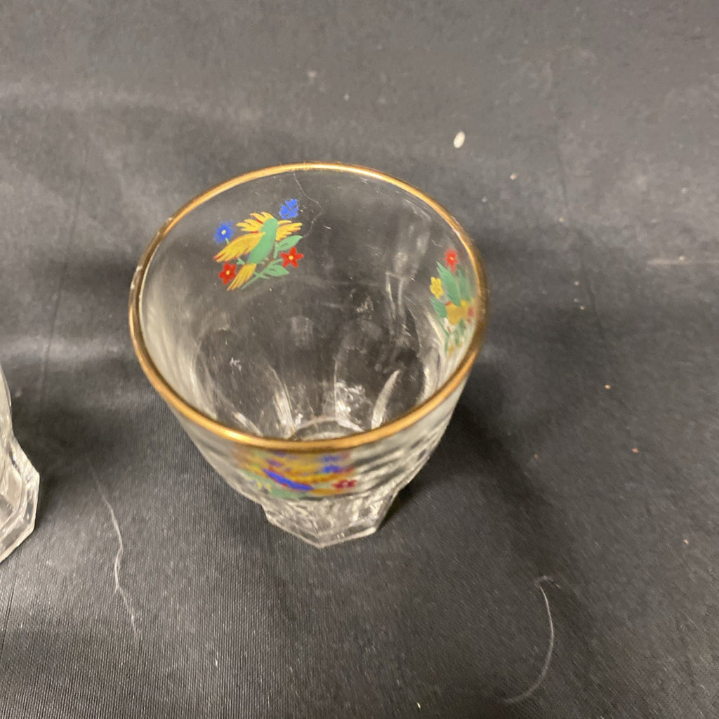 6 x Vintage 1950's Claymer Glasses Glass shot liqueur parrots design with REG mark (1482)