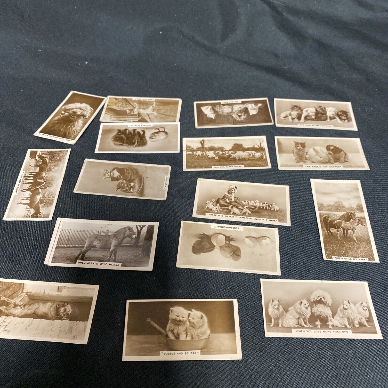 Millhoff Cigarette Real Photograph Cards - Animals from various series x 18 cards -(9155)