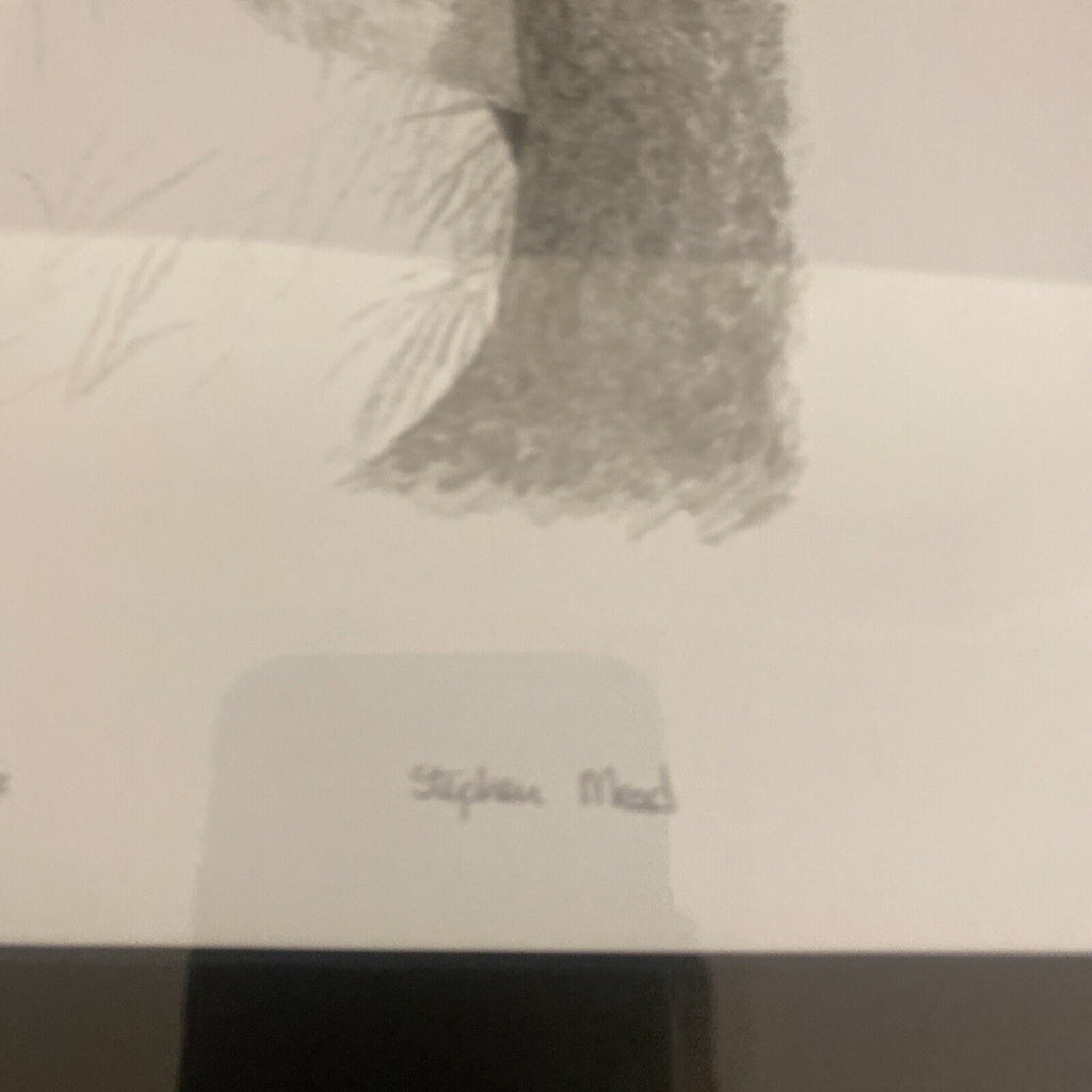 Stephen Mead Pencil Print Siamese #387/850 Framed - (9098)