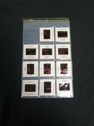 POSTOJNA CAVE - Floppy vinyl English single and 11 original slide photos (6986)