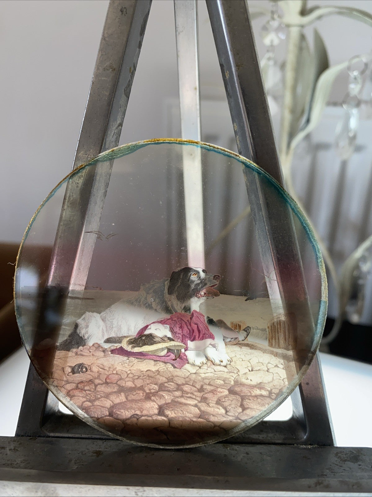 Magic Lantern Victorian Glass Round Handpainted Slide Guardian Dog & Child (1129