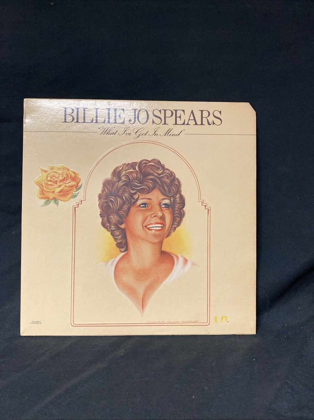 VINYL RECORD - Billie Jo Spears WHAT I'VE GOT IN MIND Album 1976 - (5662)