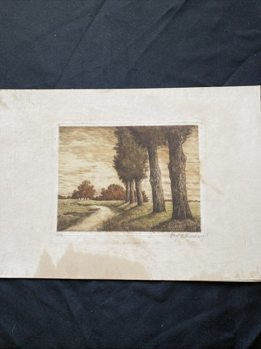 Prof. A Thalberg #4/10 Trees by a Stream Original Coloured etching - (5858)