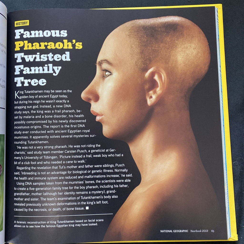 BOOK - The Best of National Geographic 2013 yearbook - Hardback - (9581)