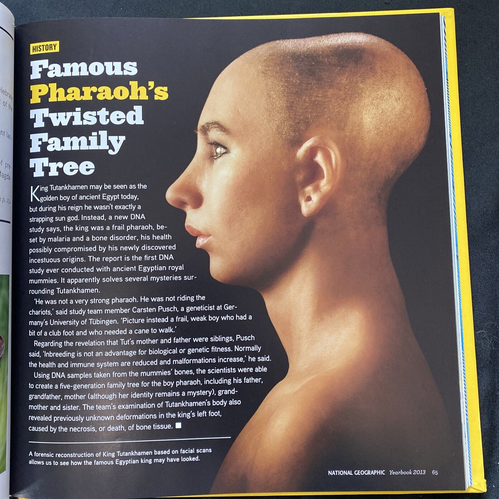 BOOK - The Best of National Geographic 2013 yearbook - Hardback - (9581)