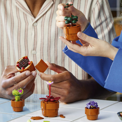 LEGO Botanicals - Tiny Plants - 10329