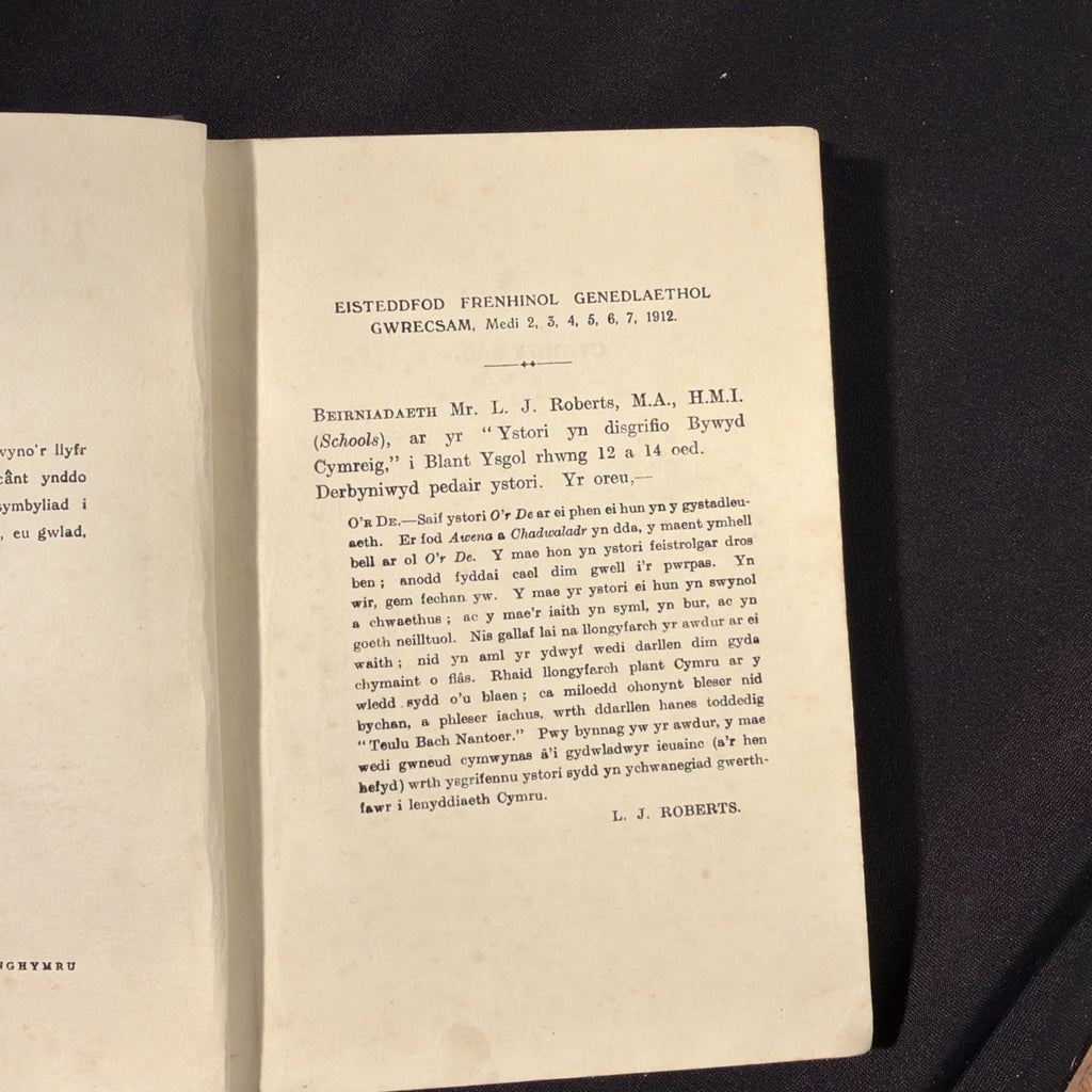 Teulu Bach Nantoer, L.M. Owen, Moelona - Welsh Language book - (1866)