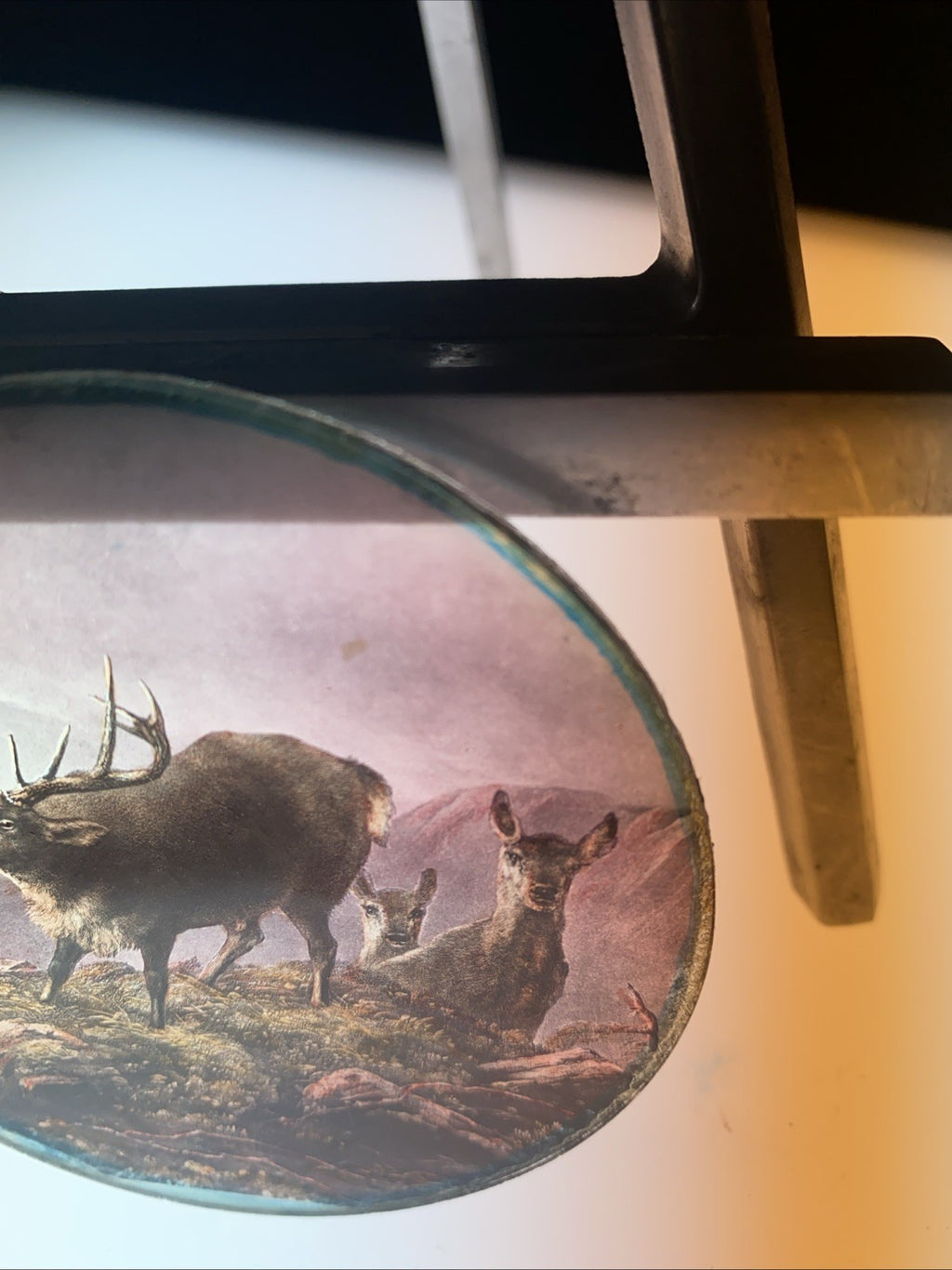 Magic Lantern Victorian Glass Round Handpainted Slide Stag and deers (1105)