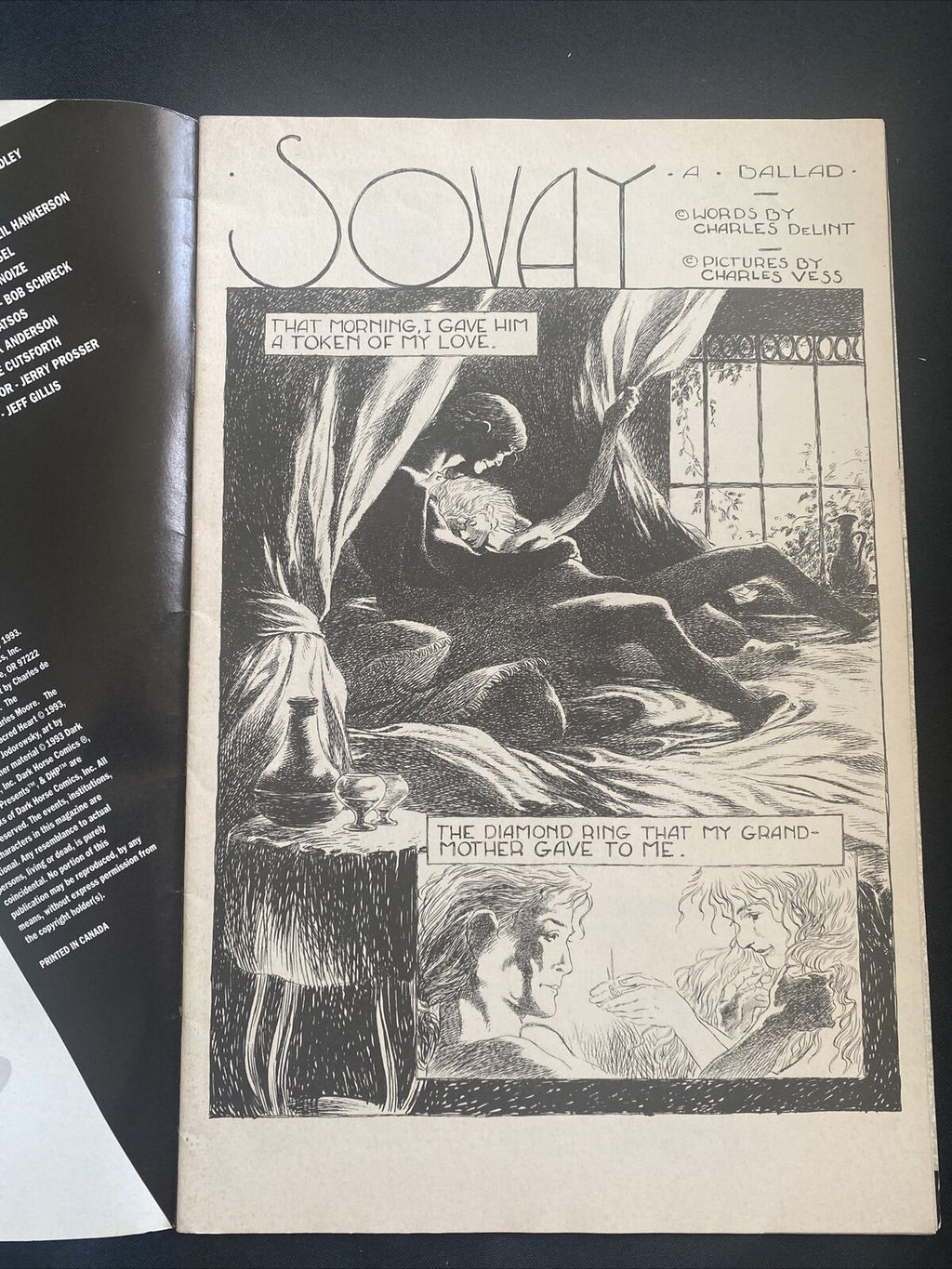 COMIC  - DARK HORSE Comics - Chairman Madwoman Sovay July 1993 - (8754)