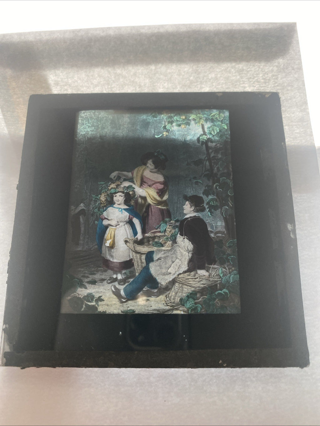 Magic Lantern Victorian Glass Square Handpainted The Crown of Flowers (1178)