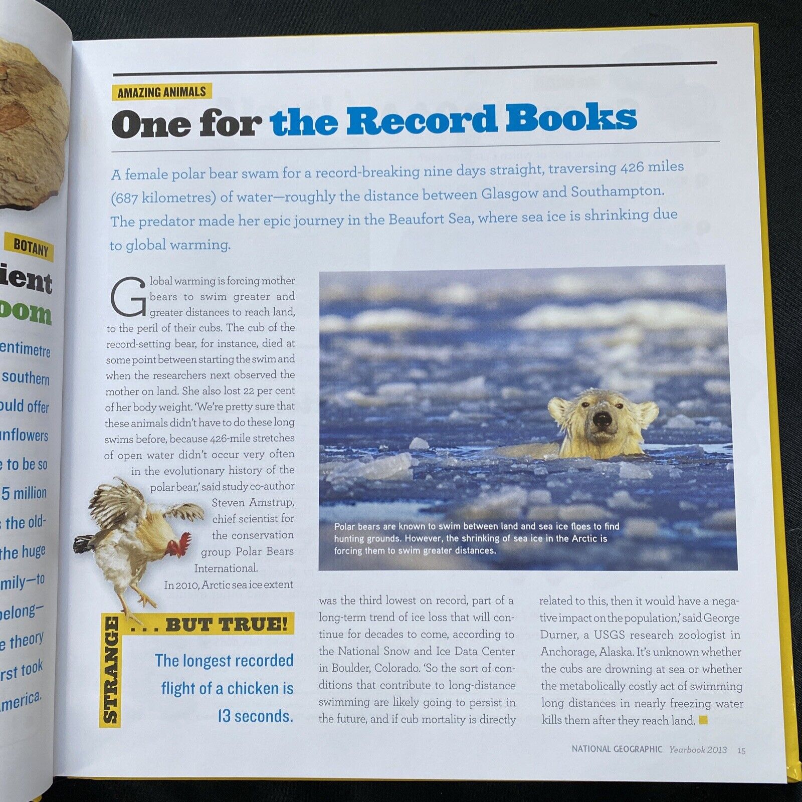 BOOK - The Best of National Geographic 2013 yearbook - Hardback - (9581)
