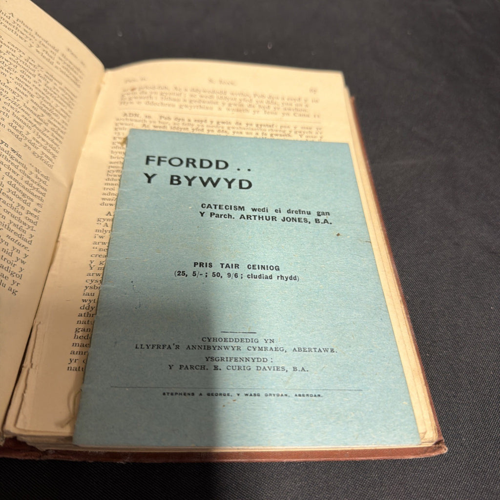 Yr efengyl Yn Ol St. Ioan, Parch. J Cynddylan Jones - Welsh Language book - (1904)