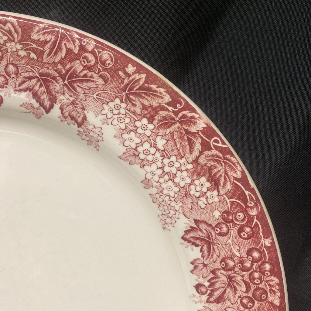 J&G Meakin england Ironstone Vitresol Plate Reg D. 391413 10" - (1721)