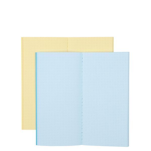 Notebooks - Pair of slim notebooks with dotty insides - (5569)