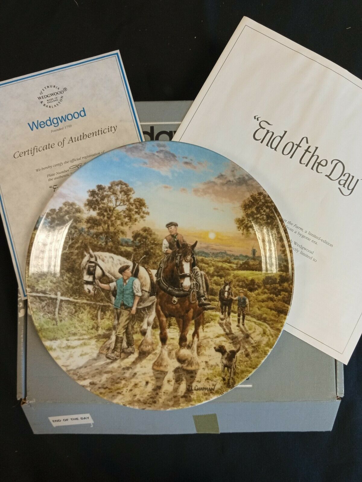 Wedgwood Queensware Collectors Boxed Plate Lim. Ed. 1989 End of The Day (7882)