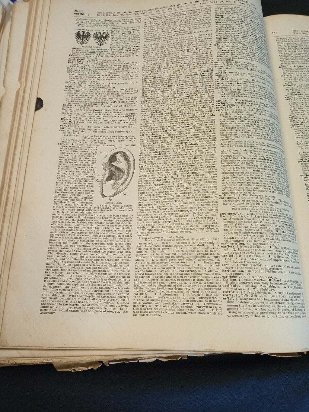 The New Standard English Dictionary M-Z Pre 1920 Waverley -(7842)