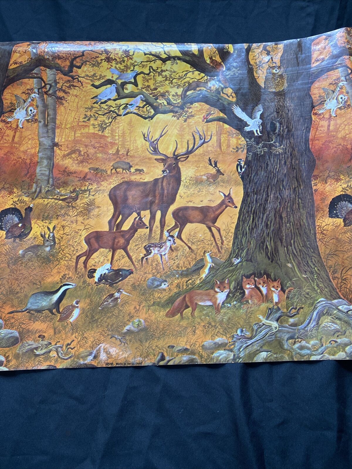 Vintage Roll of Glossy STEWO Printed wrapping drawer lining paper 4mtrs -(9552)