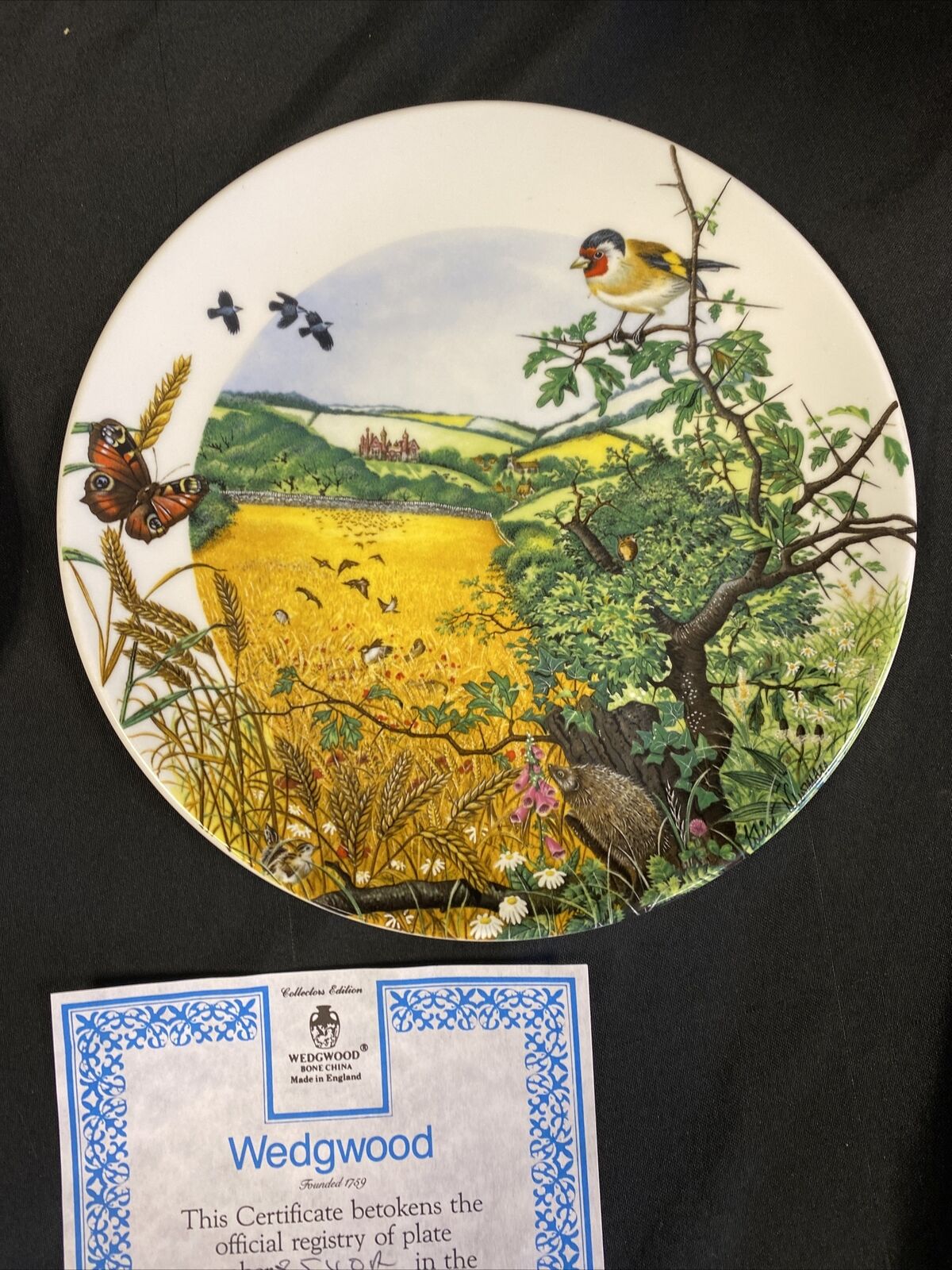Wedgwood 1988 Collector plates x2 Meandering Stream + Village in Valley (7827