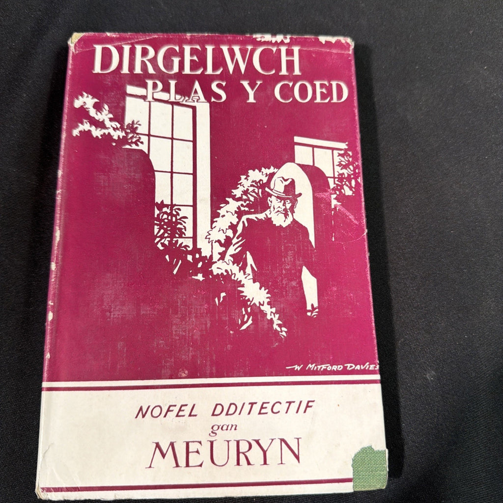 Dirgelwch Play Y Coed, Meuryn - Welsh Language book - (1867)