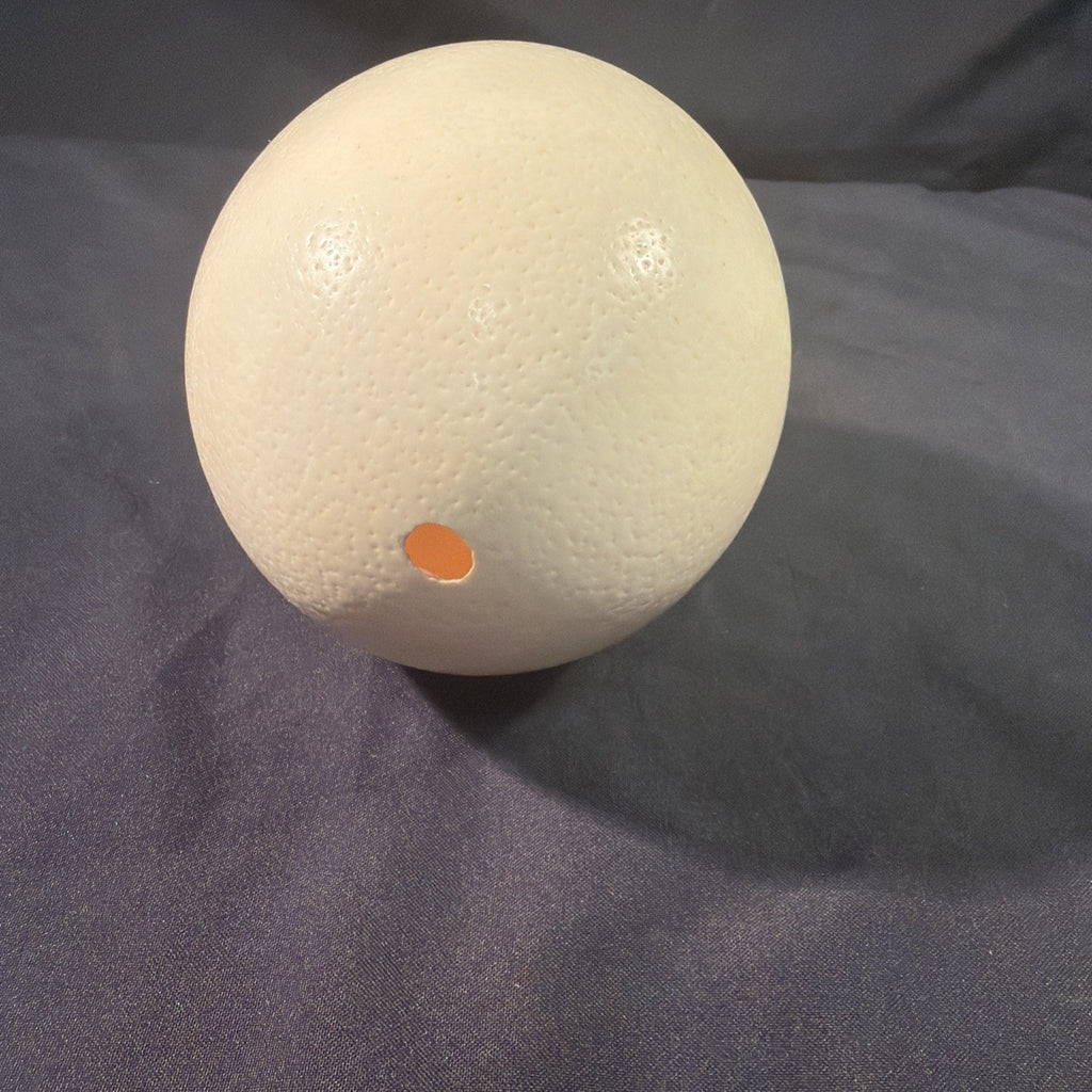 Ostrich egg Blown undecorated clean from Africa  6" - (1998)