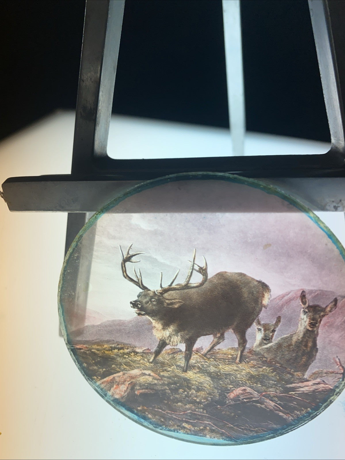 Magic Lantern Victorian Glass Round Handpainted Slide Stag and deers (1105)