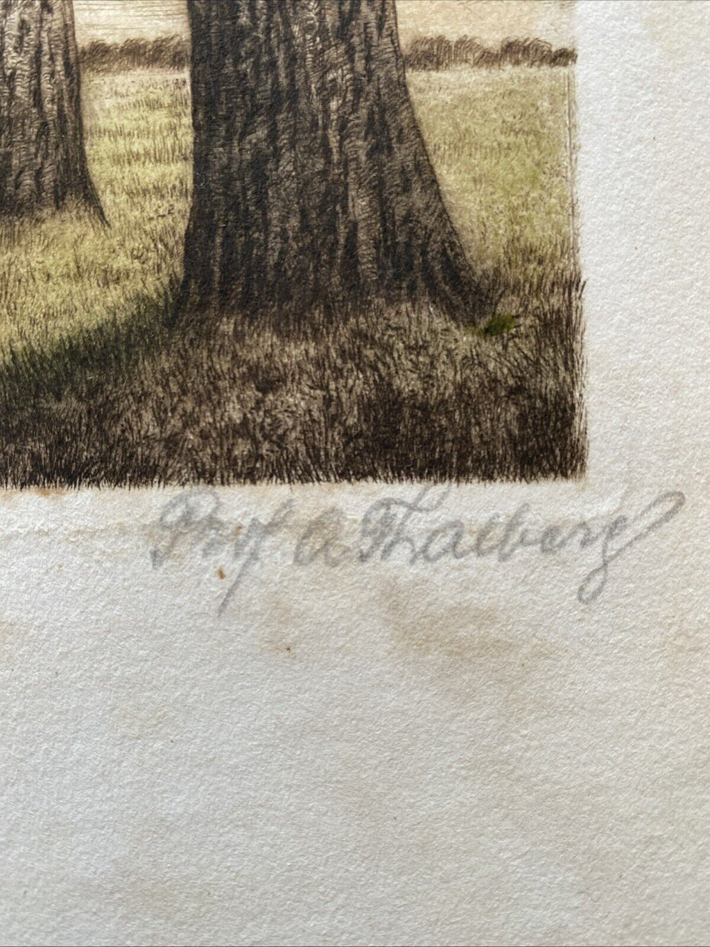 Prof. A Thalberg #4/10 Trees by a Stream Original Coloured etching - (5858)