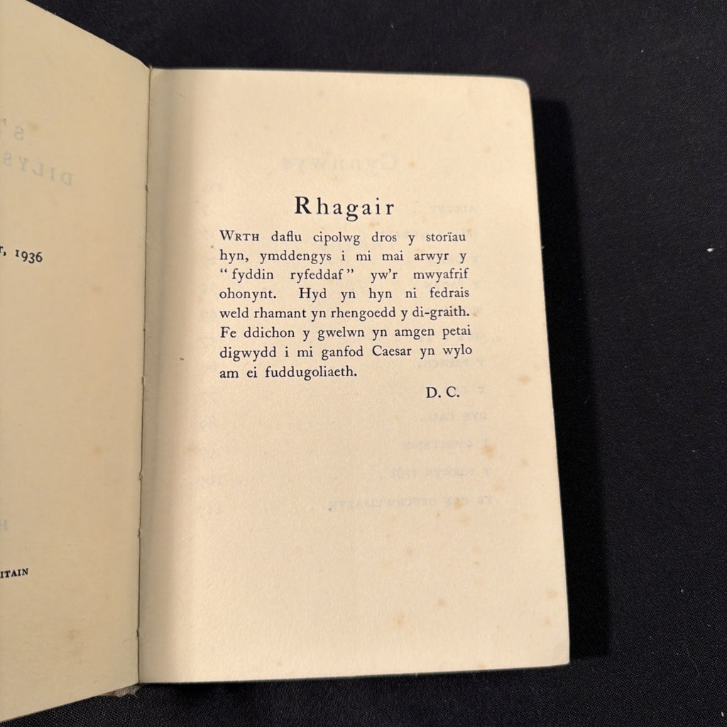 Storiau Dilys Cadwaladr - Welsh Language book - (1882)