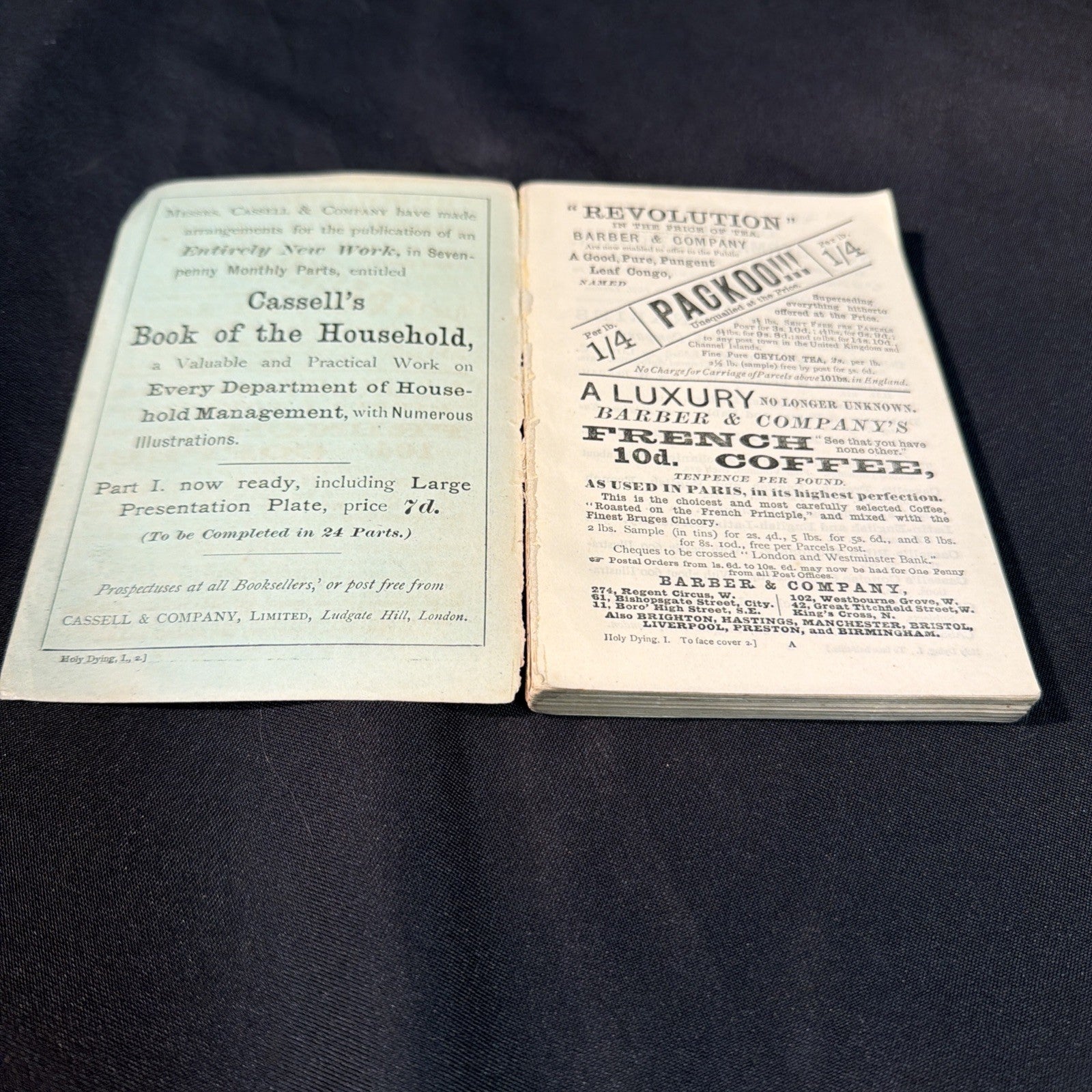 Cassell's National Library H Morley, Jeremy Taylor Holy Dying Pub. 1889 (2008)