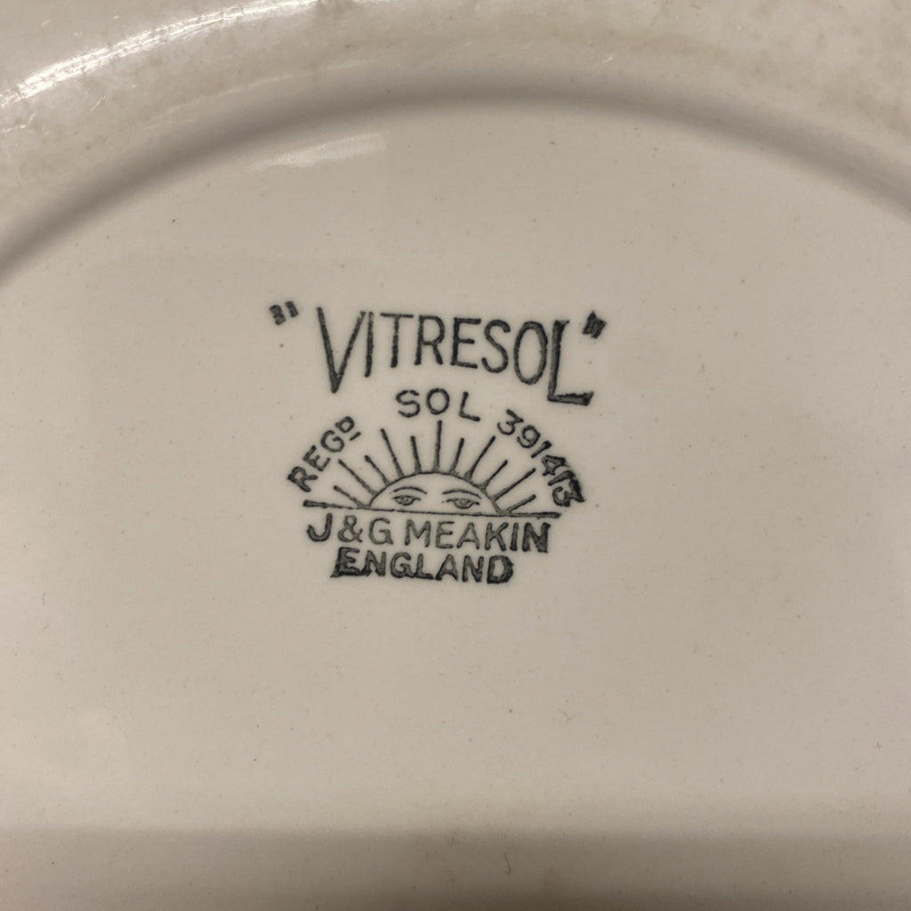 J&G Meakin england Ironstone Vitresol Plate Reg D. 391413 10" - (1721)