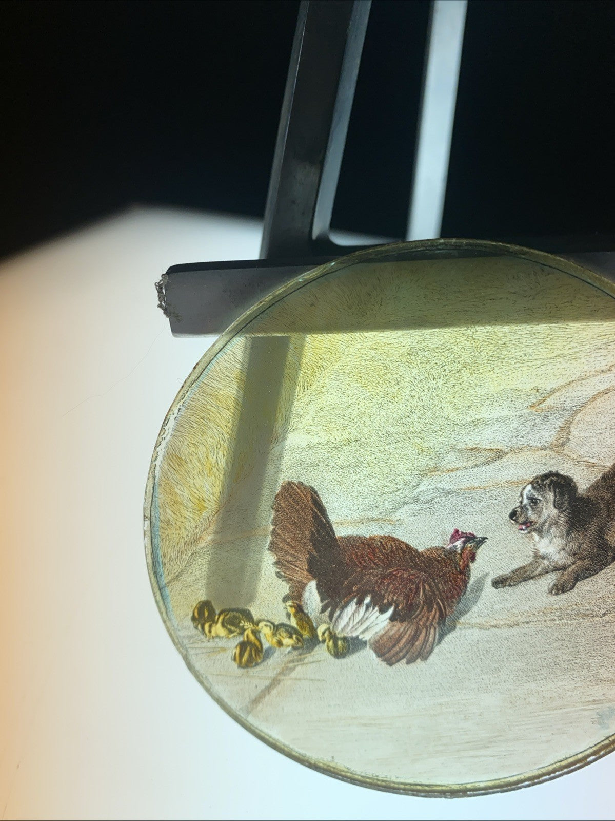 Magic Lantern Victorian Glass Round Handpainted Slide Dog & Mother Hen (1157)