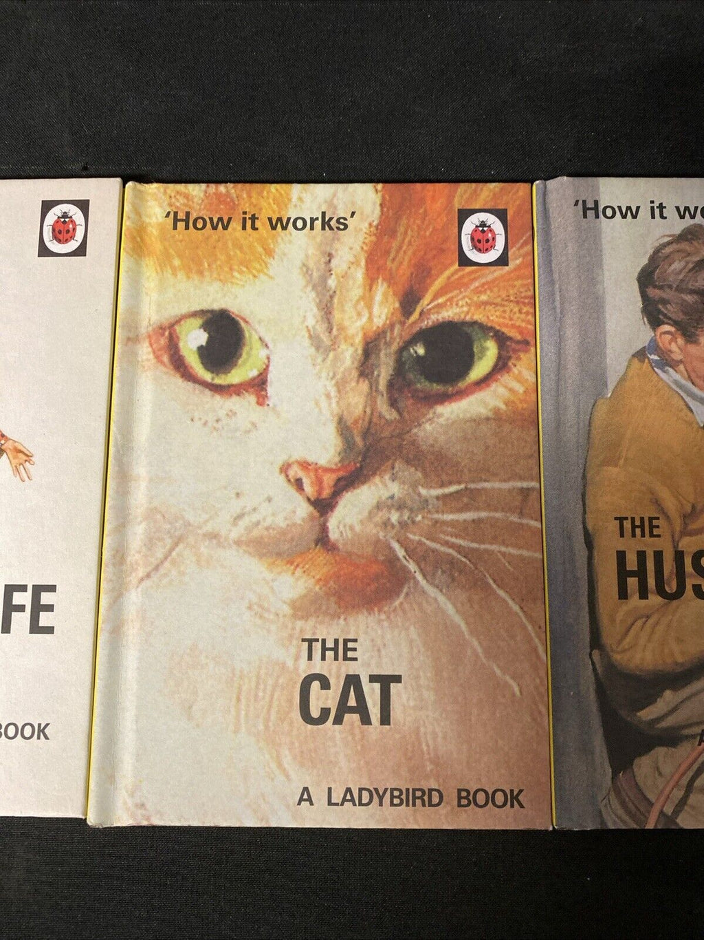 3 x The Ladybird Book - The Cat / Husband / Wife (Ladybird for Grown-Ups) (5648)