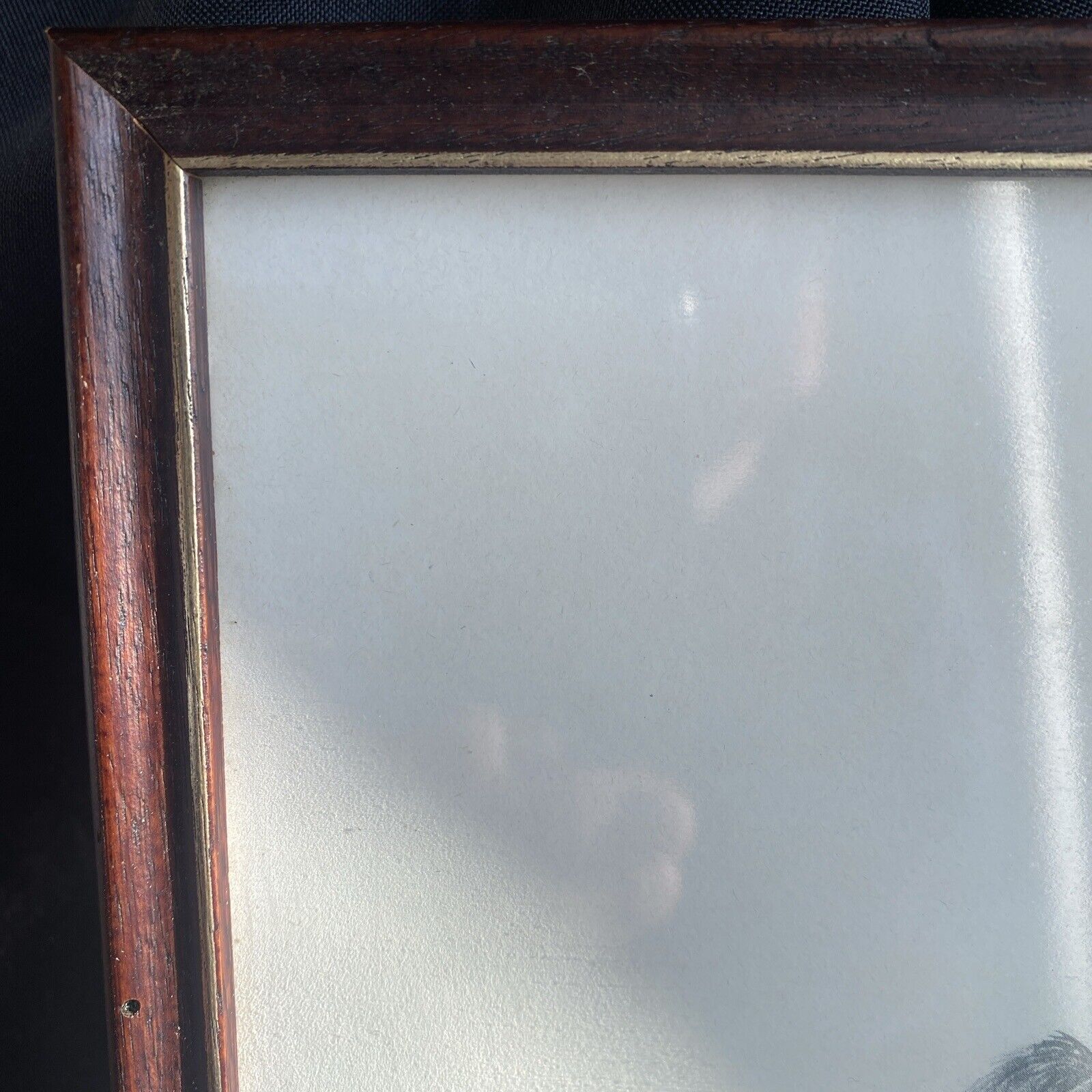 Rex Flood - Framed Glazed Pencil Print Labrador Dog 1990 - (9097)