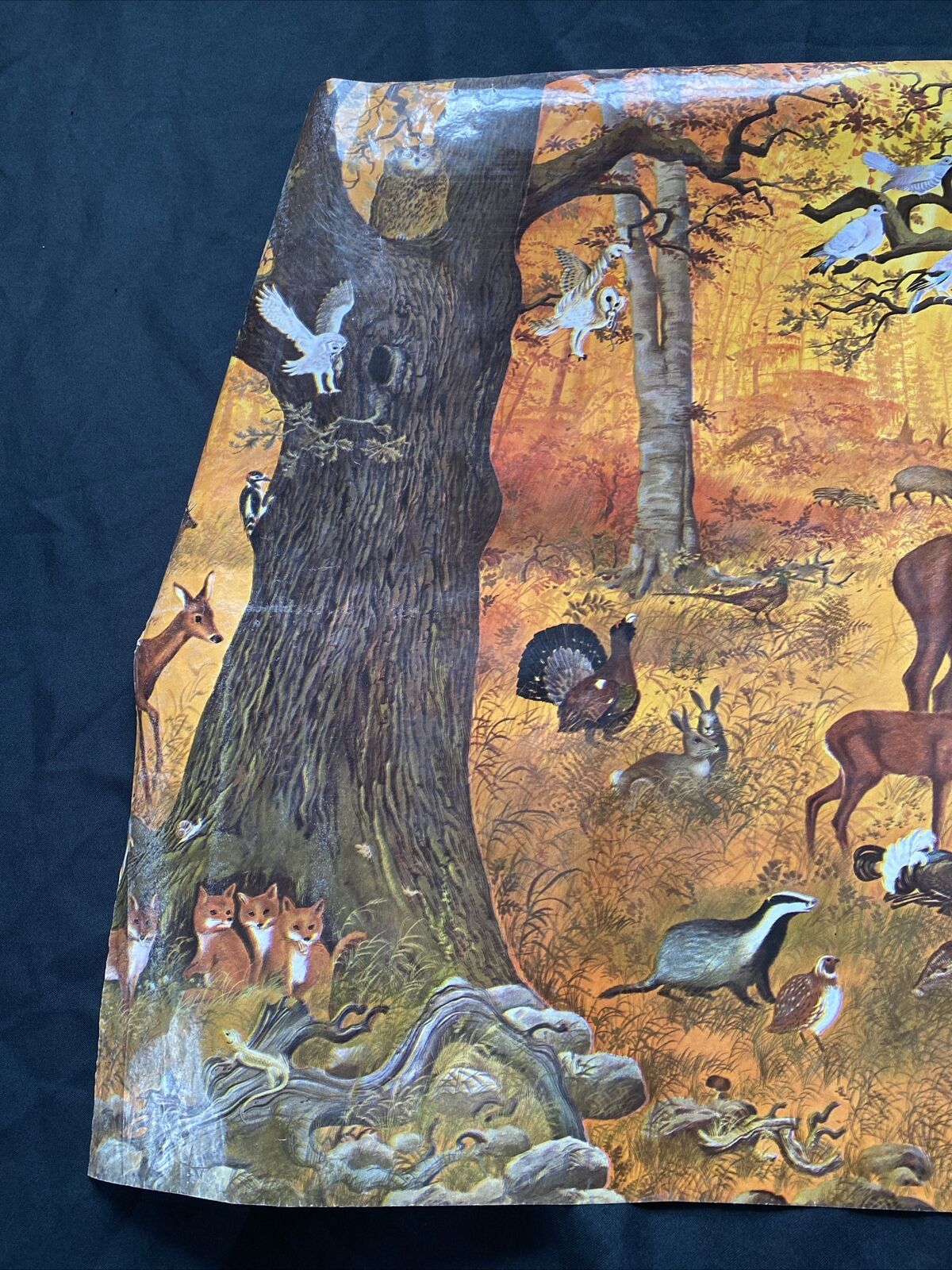 Vintage Roll of Glossy STEWO Printed wrapping drawer lining paper 4mtrs -(9552)