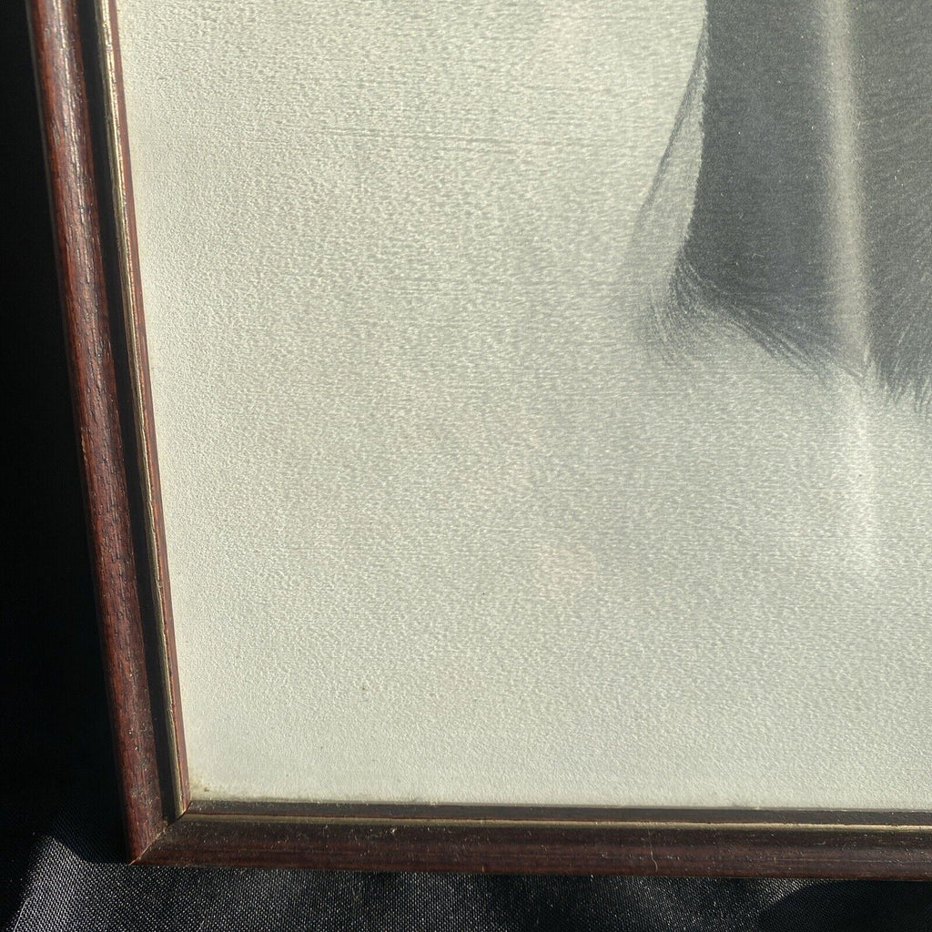 Rex Flood - Framed Glazed Pencil Print Labrador Dog 1990 - (9097)