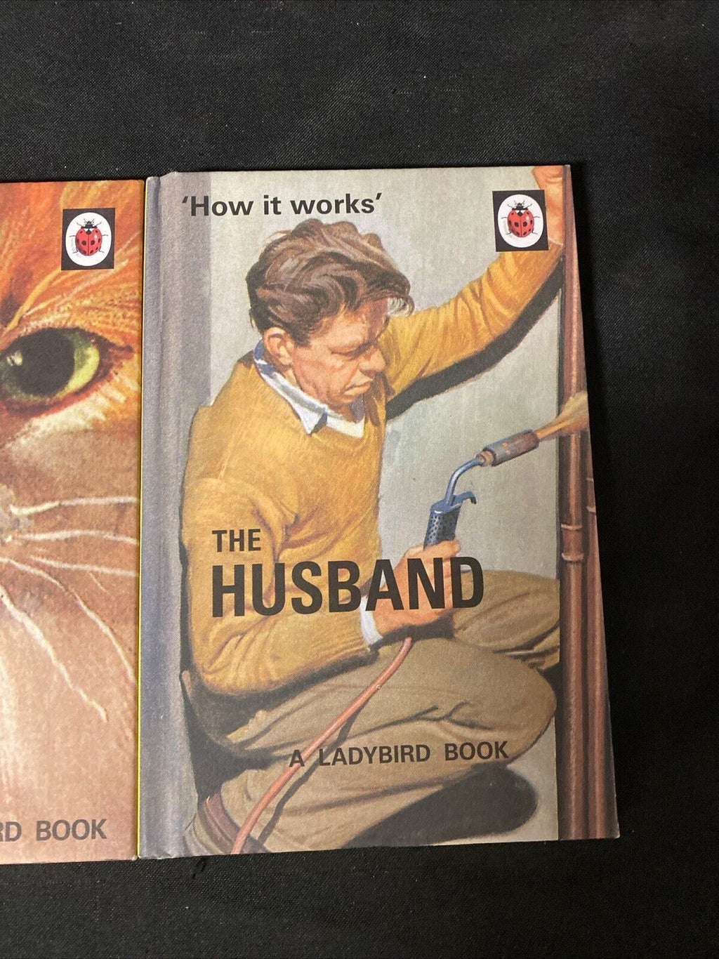 3 x The Ladybird Book - The Cat / Husband / Wife (Ladybird for Grown-Ups) (5648)