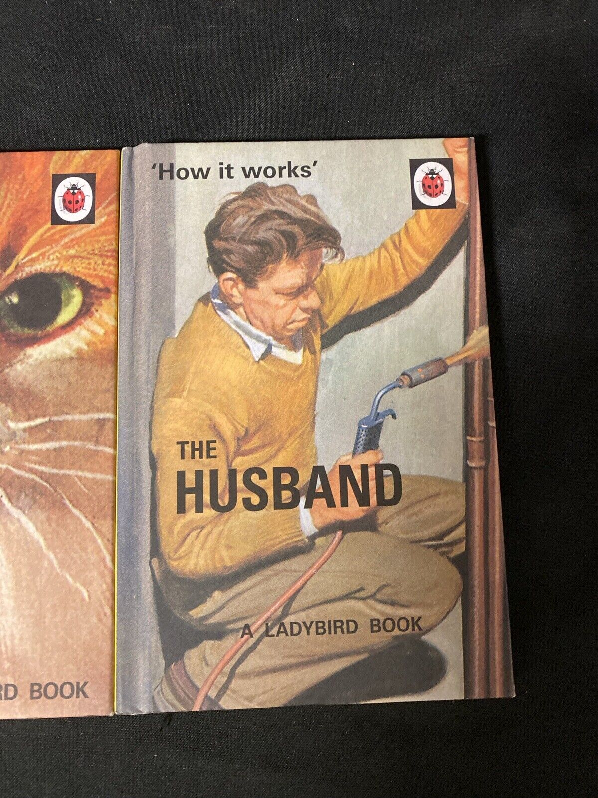 3 x The Ladybird Book - The Cat / Husband / Wife (Ladybird for Grown-Ups) (5648)
