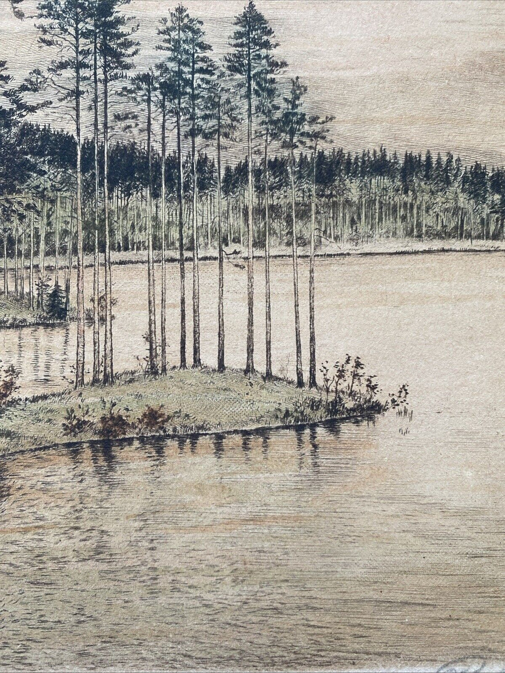 Prof. A Thalberg #7/10 Forest by a Lake Original Coloured etching - (5859)