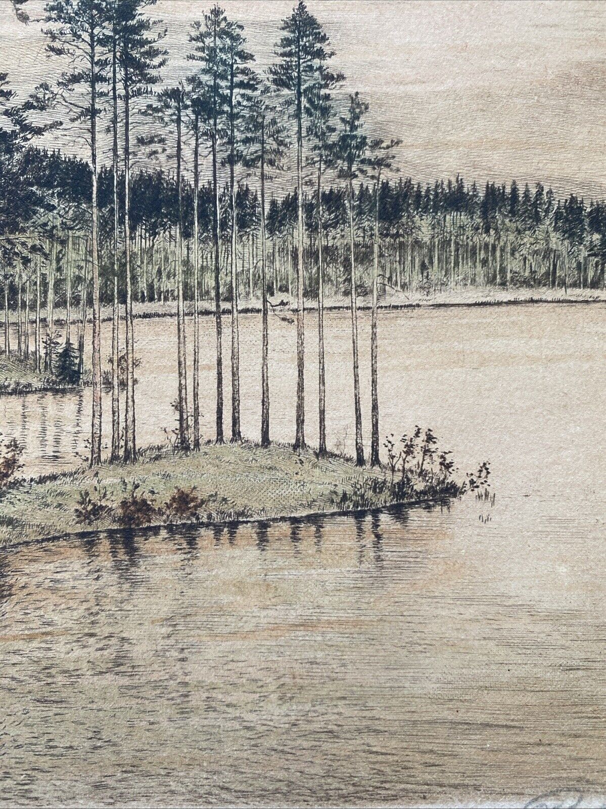 Prof. A Thalberg #7/10 Forest by a Lake Original Coloured etching - (5859)