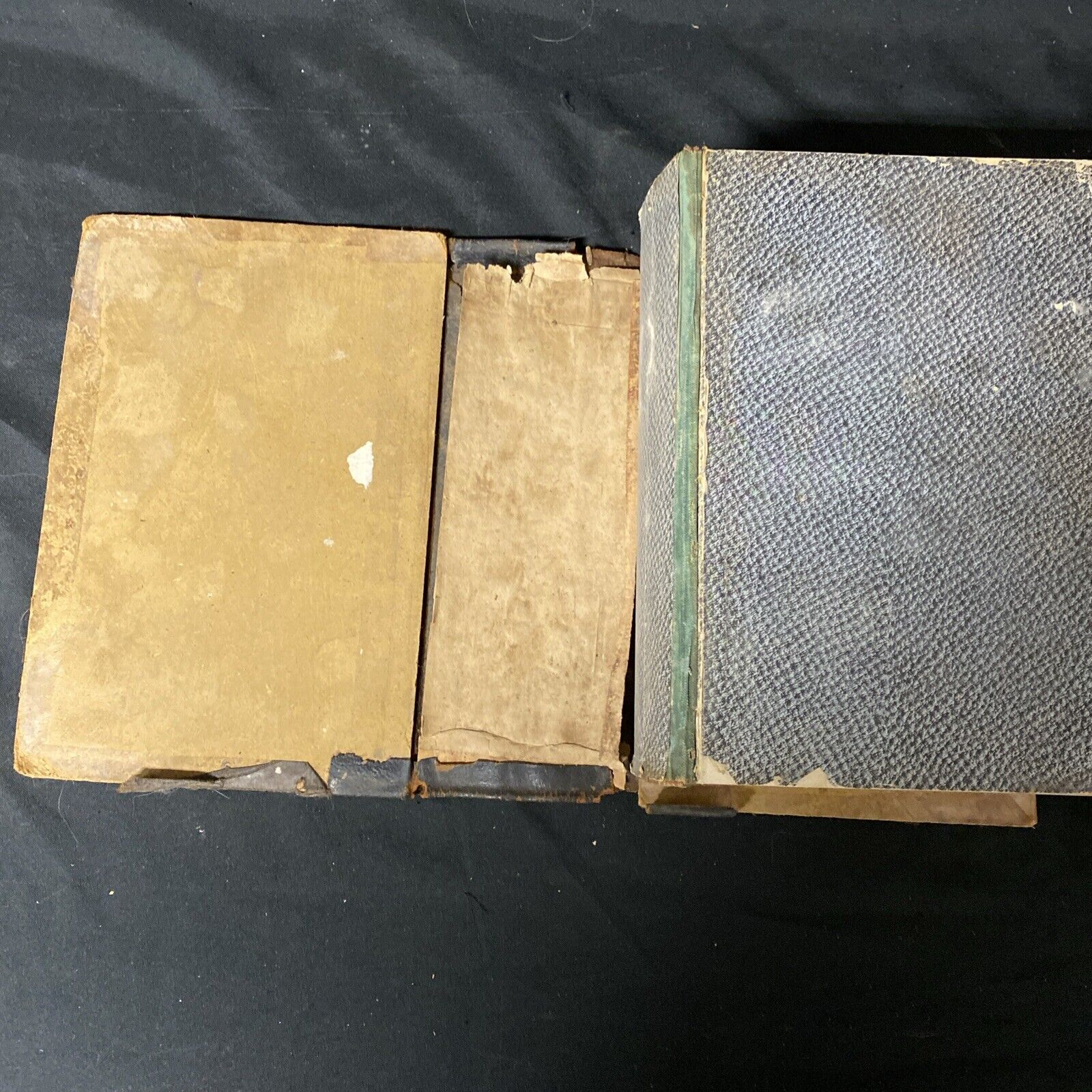 Kellogg THE HOME HAND-BOOK OF DOMESTIC HYGIENE & RATIONAL MEDICINE 1902 (5272)