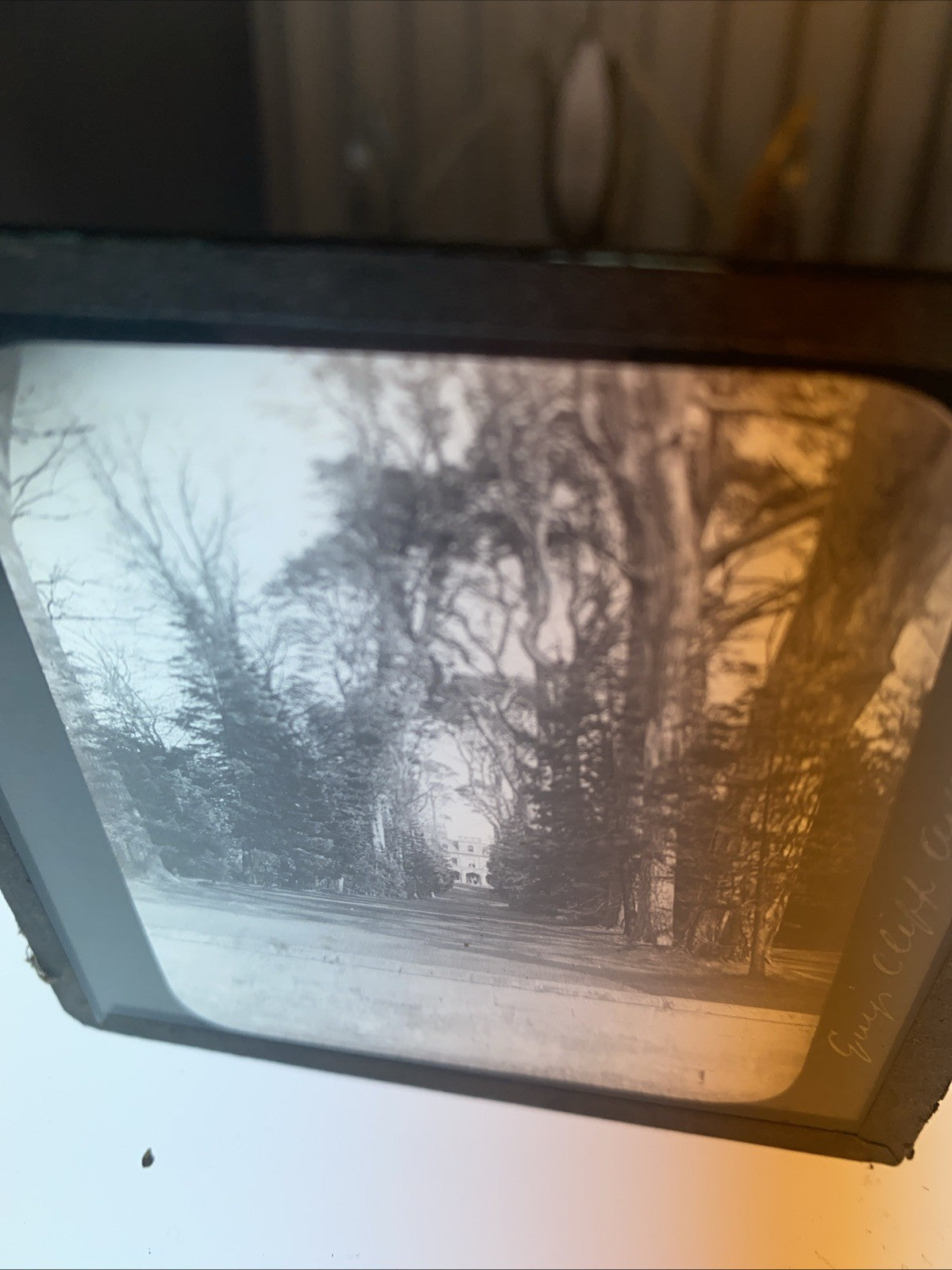 Magic Lantern Victorian Glass Square Antique Photo Guys Cliffe House Avenue 1067