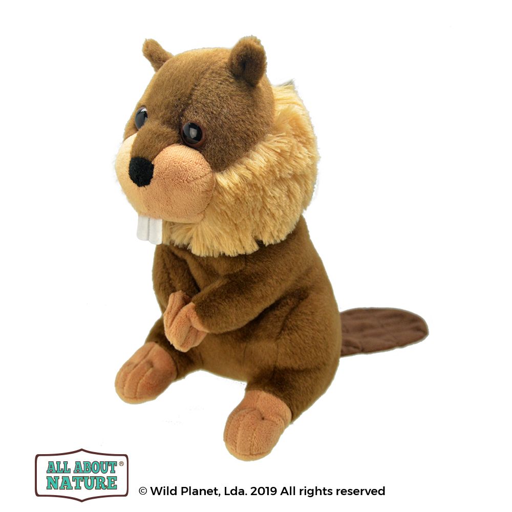 All About Nature Wild Planet - Soft Plush Age 0+ - BEAVER 25cm - K8567