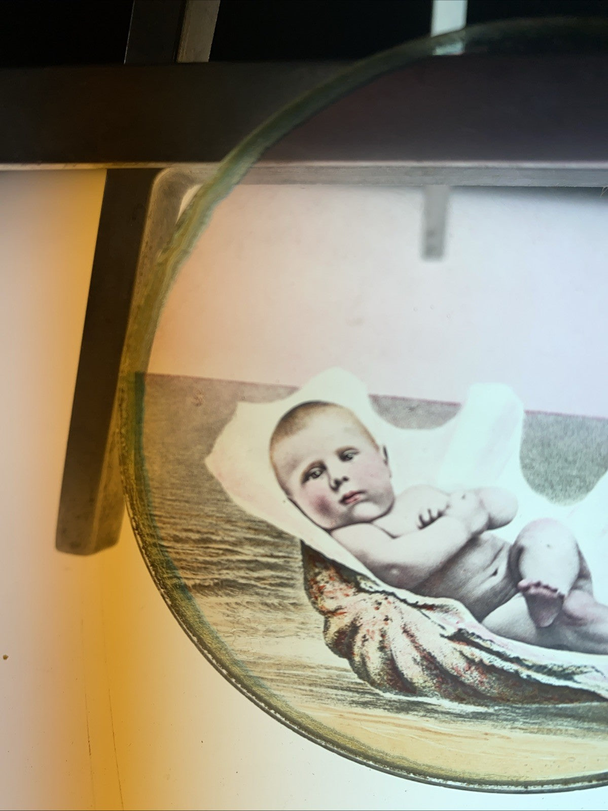 Magic Lantern Victorian Glass Round Handpainted Slide Baby in a shell - (1091)
