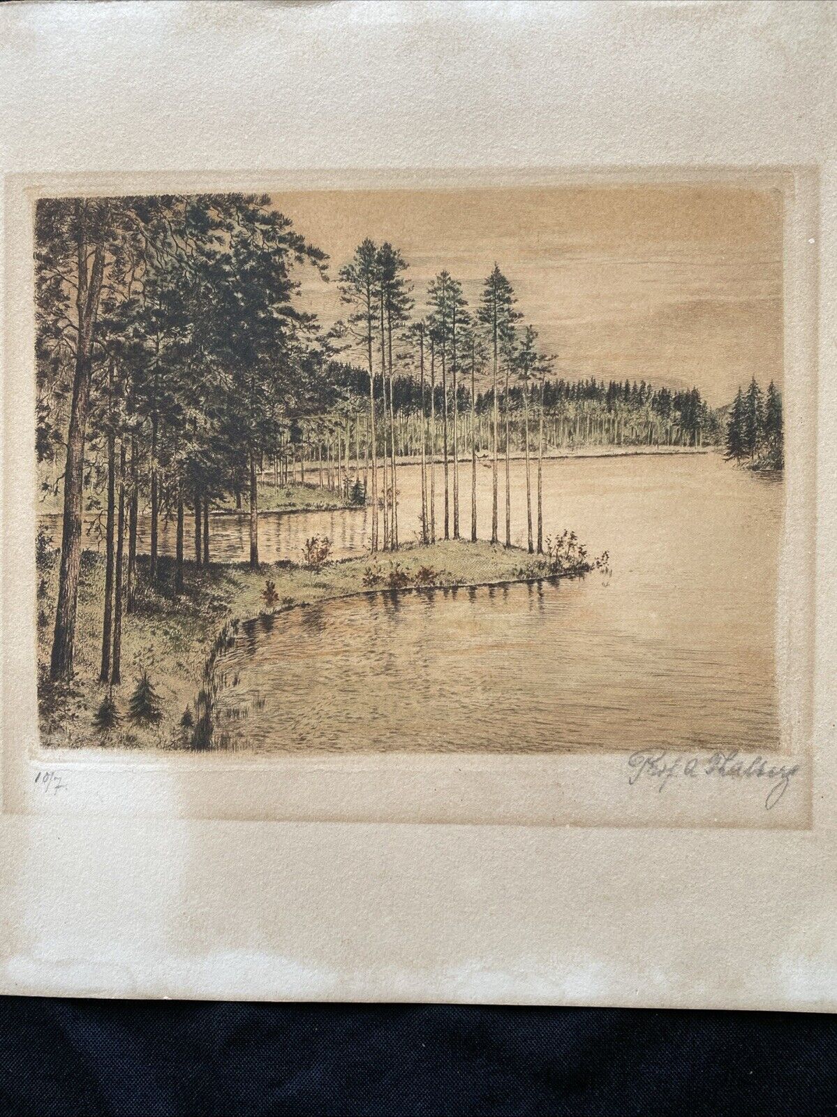 Prof. A Thalberg #7/10 Forest by a Lake Original Coloured etching - (5859)