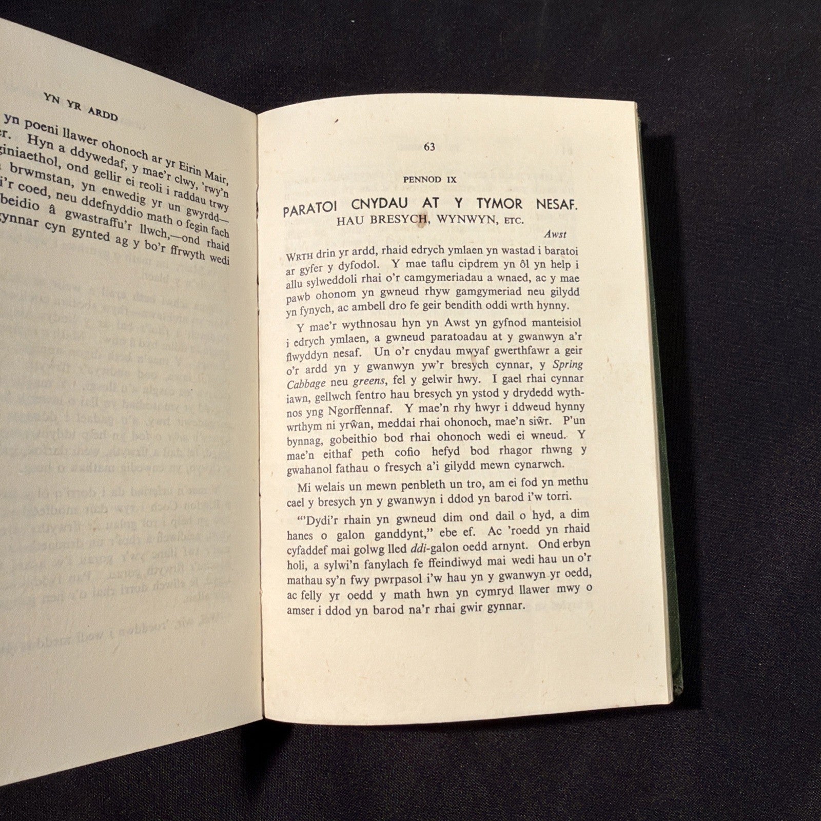 Yn yr Ardd, Sgyrsiau Radio, Tom Jones - Welsh Language book - (1862)