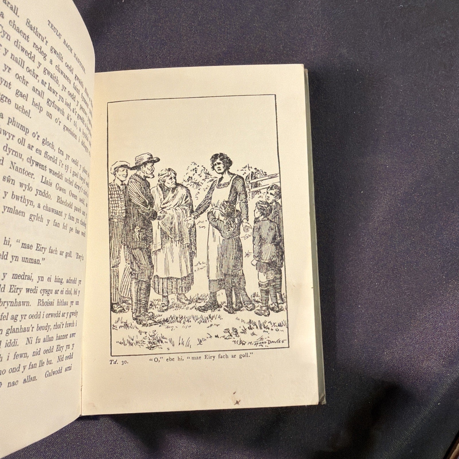Teulu Bach Nantoer, L.M. Owen, Moelona - Welsh Language book - (1866)