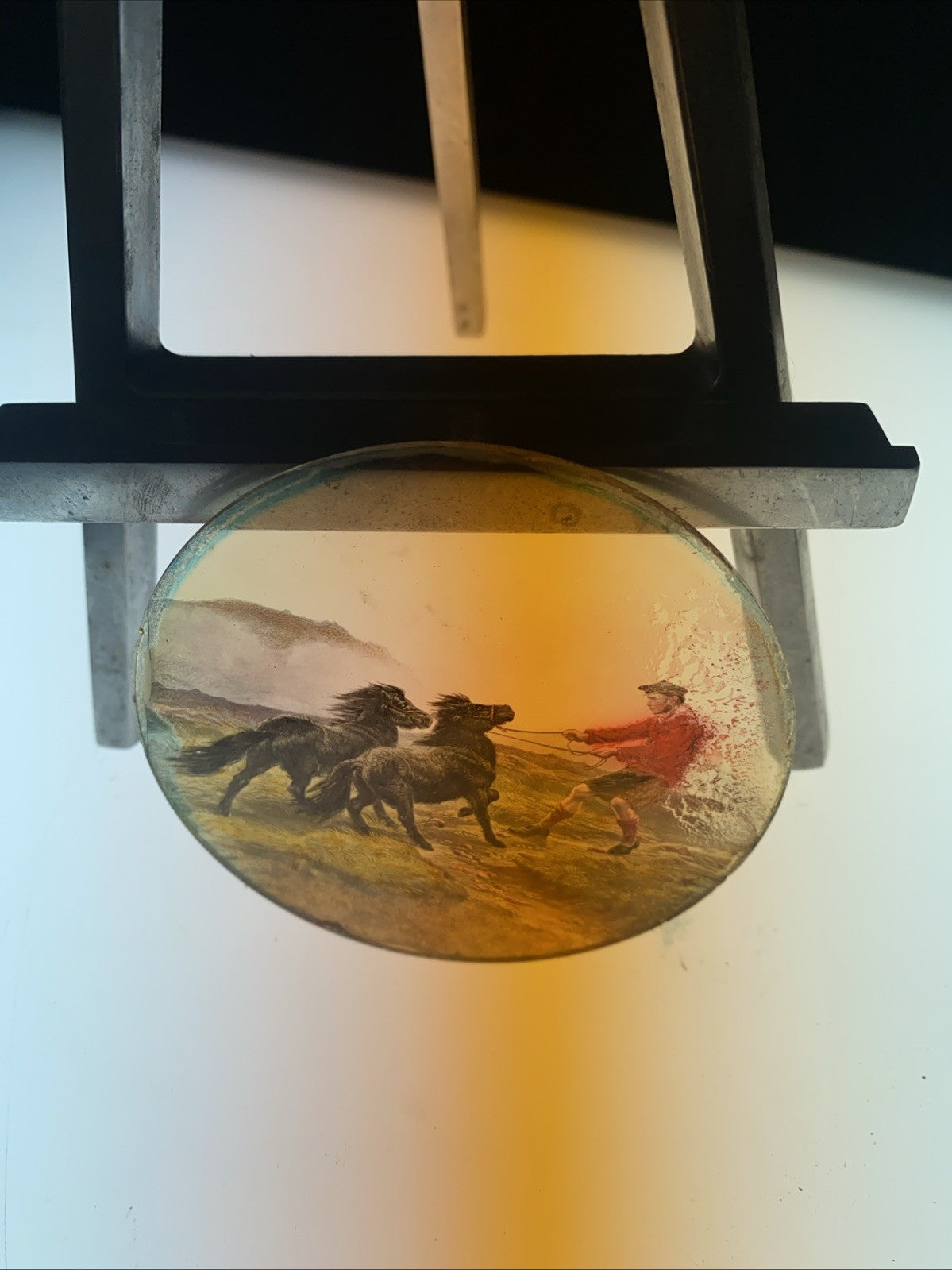 Magic Lantern Victorian Glass Round Handpainted Slide Taming Ponies (1168)
